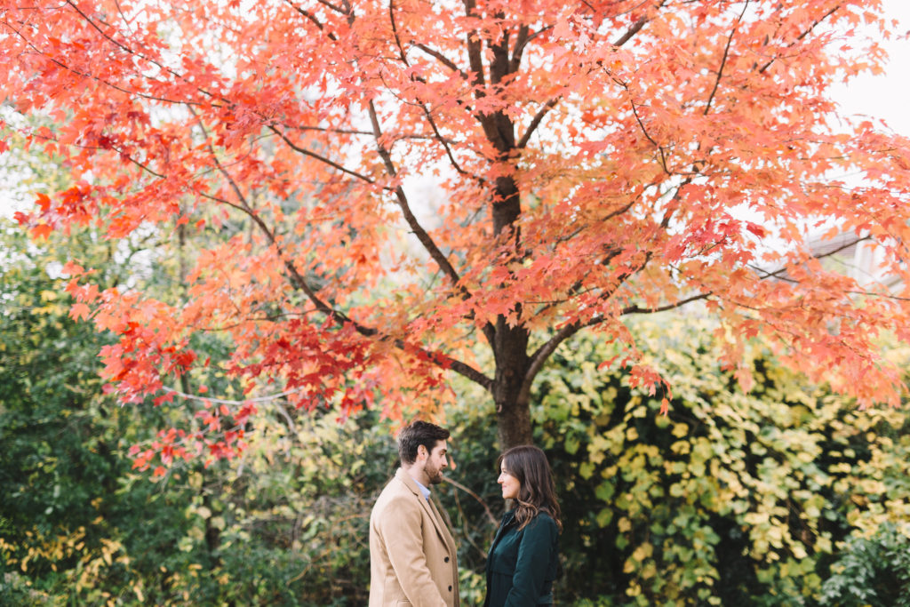 Couple hanging out under red leaf tree
