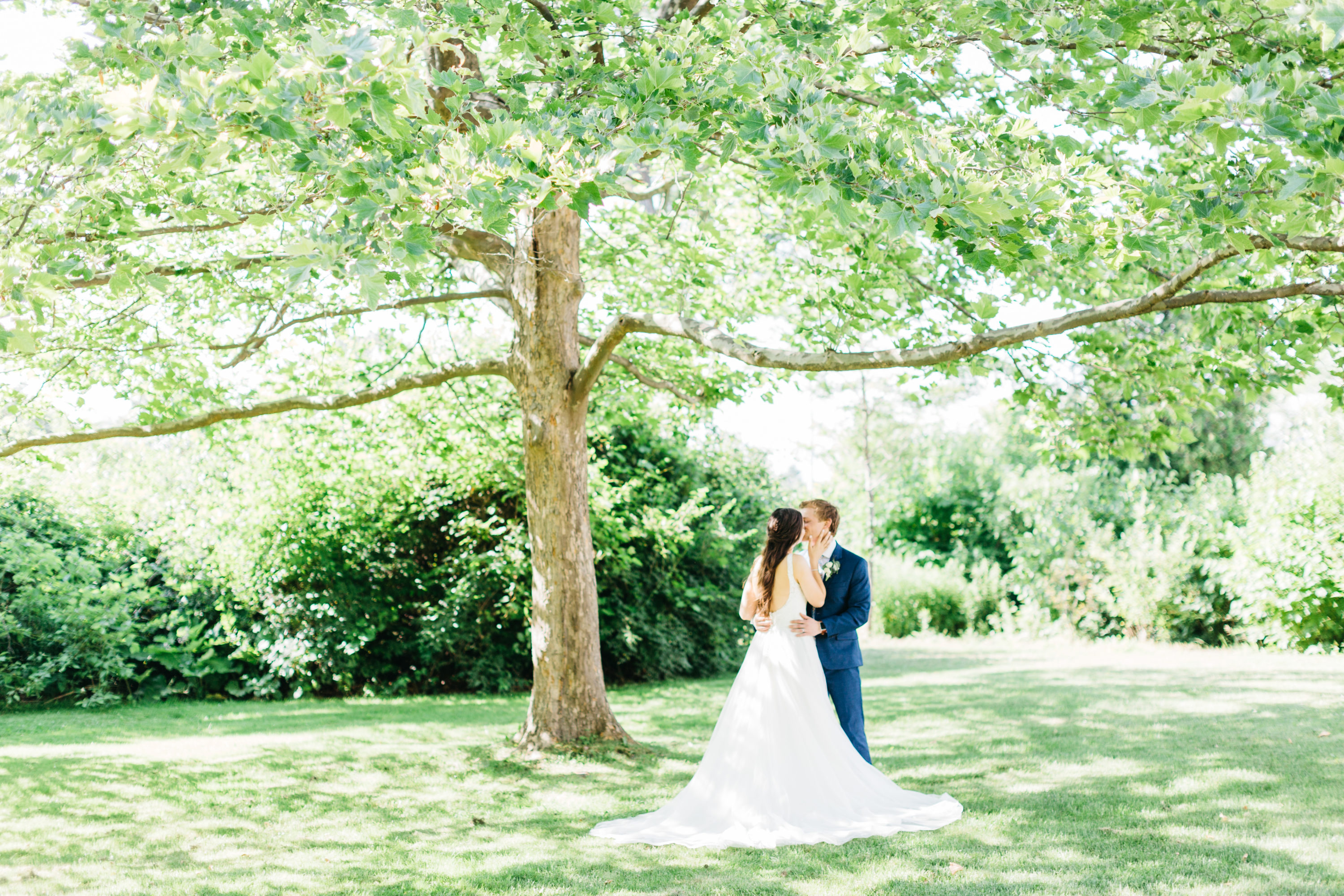 Bride and groom kissing under a tree at Harding Waterfront Estate Wedding